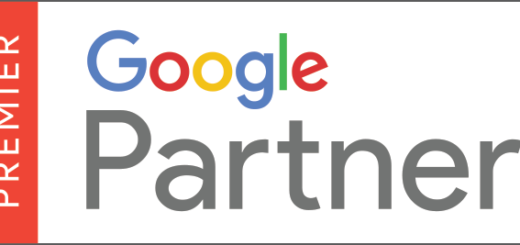 google-premium-partner-logo
