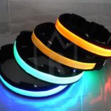 Hundehalsband LED 4 Farben